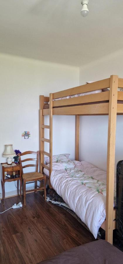 Le Bellevue 2 Apartment Thonon-les-Bains Luaran gambar