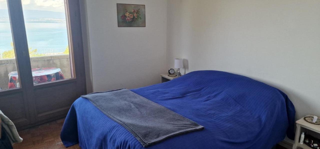 Le Bellevue 2 Apartment Thonon-les-Bains Luaran gambar