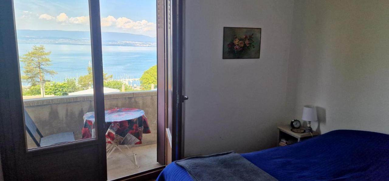 Le Bellevue 2 Apartment Thonon-les-Bains Luaran gambar
